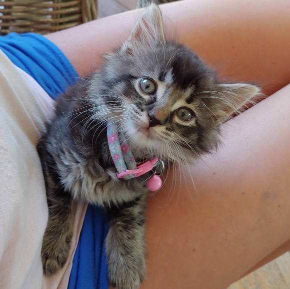 Meet Your Posher - Picture 7 of 7